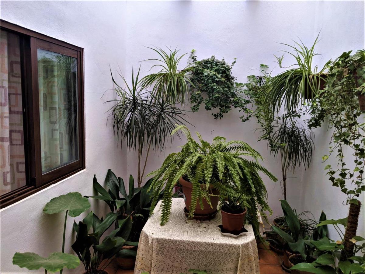 קפיליירה Hostal Moraima מראה חיצוני תמונה
