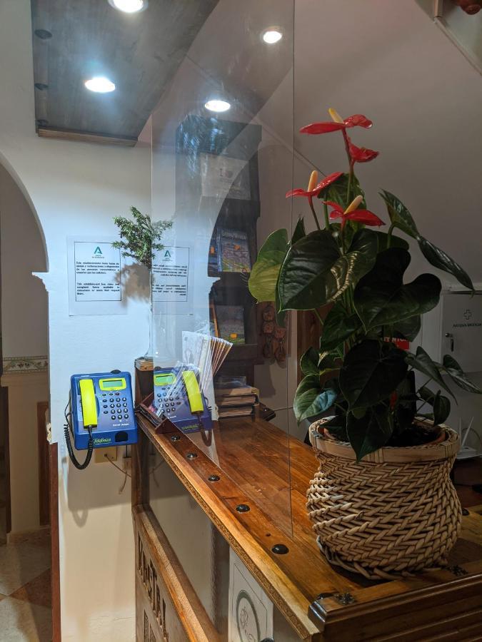 קפיליירה Hostal Moraima מראה חיצוני תמונה